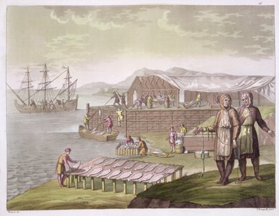 The fishing industry, Newfoundland, from 